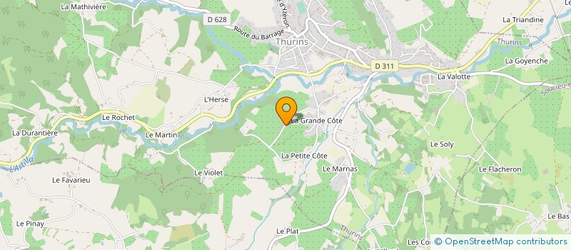 localisation de l'entreprise MONSIEUR CLAUDIUS BOUCHUT à THURINS