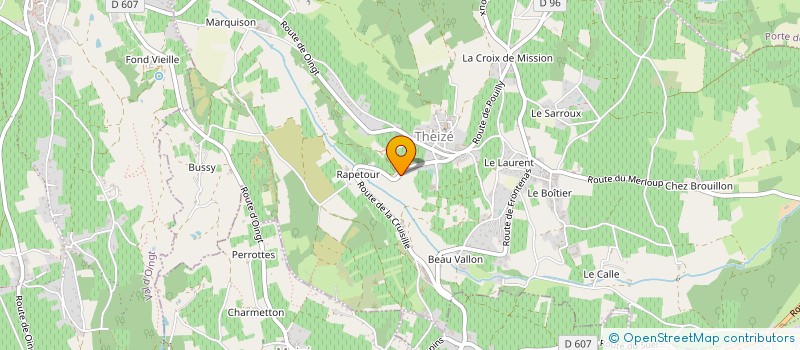 localisation de l'entreprise MONSIEUR CLEMENT BERNARD  THEIZE