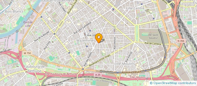 localisation de l'entreprise MONSIEUR CLEMENT GOMIS  LILLE