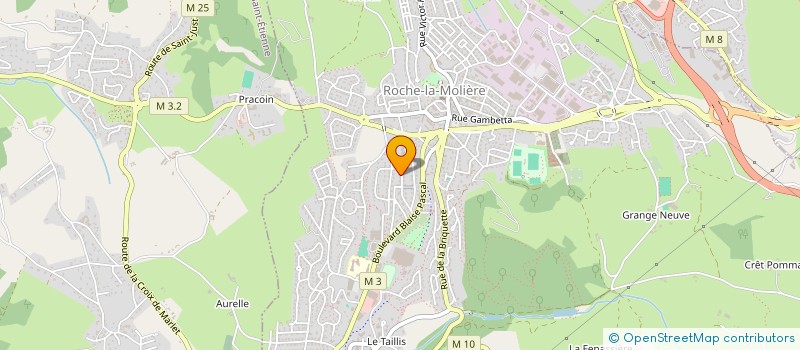 localisation de l'entreprise MONSIEUR CLEMENT JOUBERT  ROCHE-LA-MOLIERE