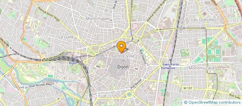 localisation de l'entreprise MONSIEUR CLEMENT LEITUGA  DIJON