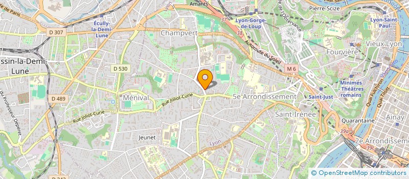 localisation de l'entreprise MONSIEUR CLEMENT MARION à LYON