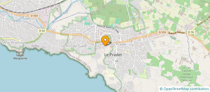 localisation de l'entreprise MONSIEUR CLEMENT RISTORI  LE PRADET