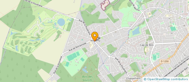 localisation de l'entreprise MONSIEUR CLEMENT ROULLIER  PESSAC