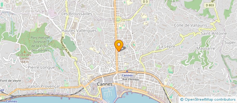 localisation de l'entreprise MONSIEUR CLEMENT ROUX  CANNES