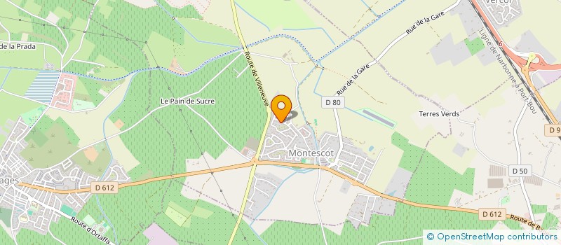 localisation de l'entreprise MONSIEUR CLEMENT SALVADOR  MONTESCOT