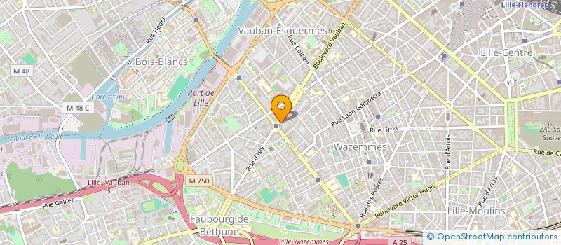 localisation de l'entreprise MONSIEUR CLEMENT TAVANO à LILLE