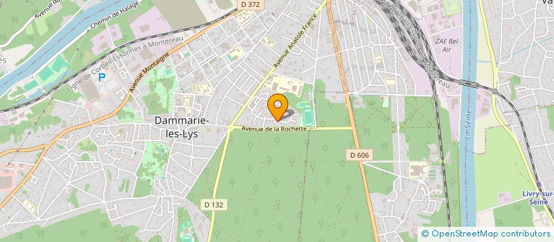 localisation de l'entreprise MONSIEUR CLEMENT VILLE à DAMMARIE-LES-LYS