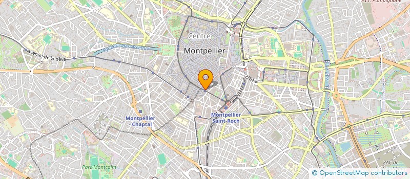localisation de l'entreprise MONSIEUR CLODOVEO PIPITO à MONTPELLIER
