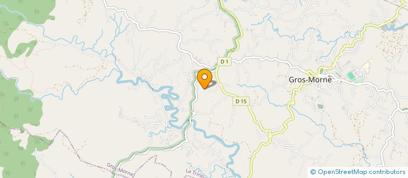 localisation de l'entreprise MONSIEUR CLOTAIRE CARTESSE  GROS-MORNE