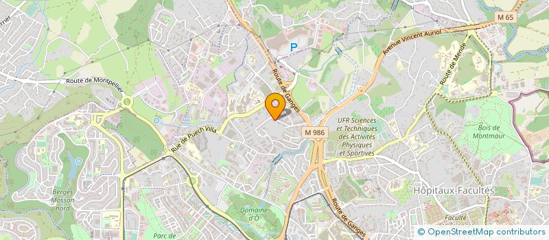 localisation de l'entreprise MONSIEUR CODRUT CALDARAR à MONTPELLIER