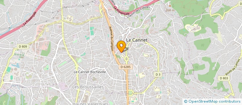localisation de l'entreprise MONSIEUR COLIN IANNONE à LE CANNET