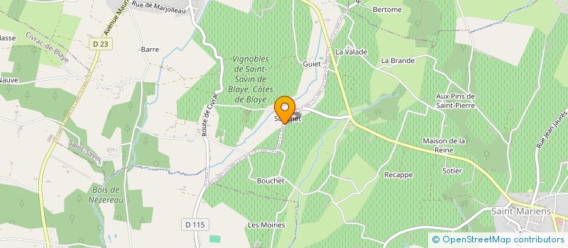 localisation de l'entreprise MONSIEUR CONSTANT BRISSON  SAINT-SAVIN