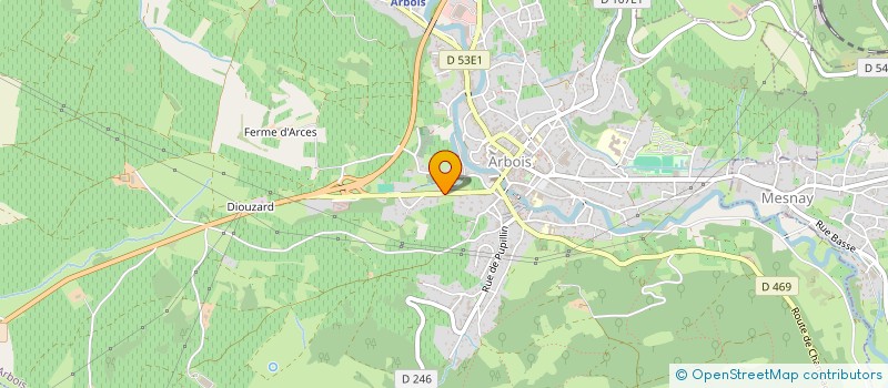 localisation de l'entreprise MONSIEUR CONSTANT CHAUVIN  ARBOIS