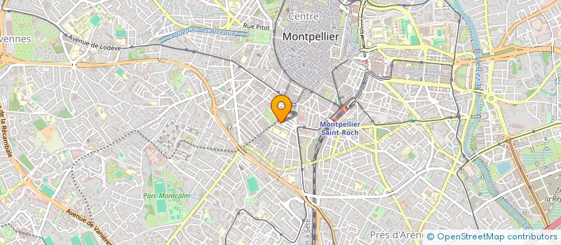 localisation de l'entreprise MONSIEUR CONSTANTIN BRAGA à MONTPELLIER