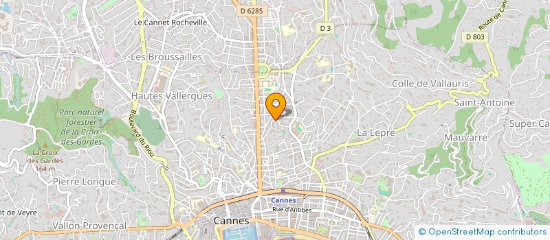 localisation de l'entreprise MONSIEUR CONSTANTIN DE GISLAIN DE BONTIN  CANNES