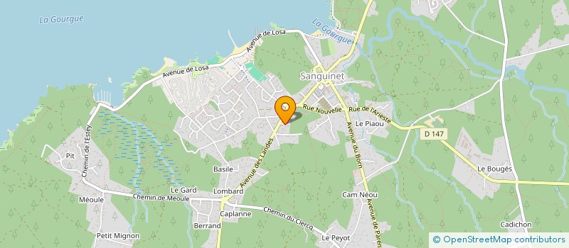 localisation de l'entreprise MONSIEUR CONSTANTIN LANOUX  SANGUINET