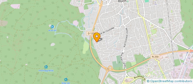 localisation de l'entreprise MONSIEUR CONSTANTIN OPRITOIU à LA TESTE-DE-BUCH