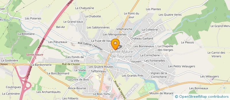 localisation de l'entreprise MONSIEUR CORENTIN BERTRAND  SAINTE-MAURE-DE-TOURAINE