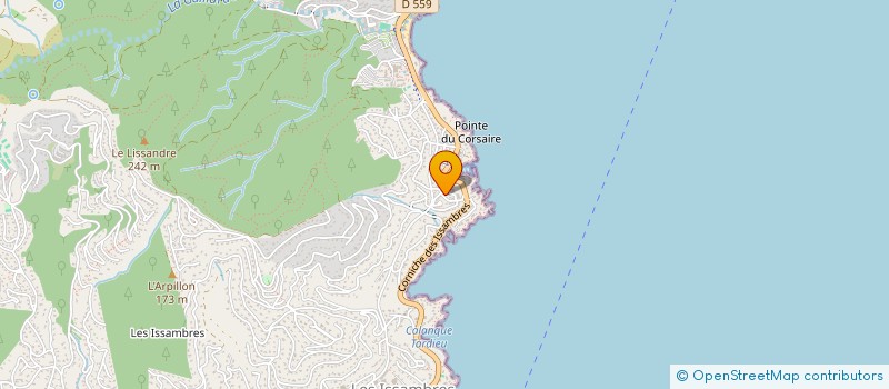 localisation de l'entreprise MONSIEUR CORENTIN BOURGEOIS  ROQUEBRUNE-SUR-ARGENS