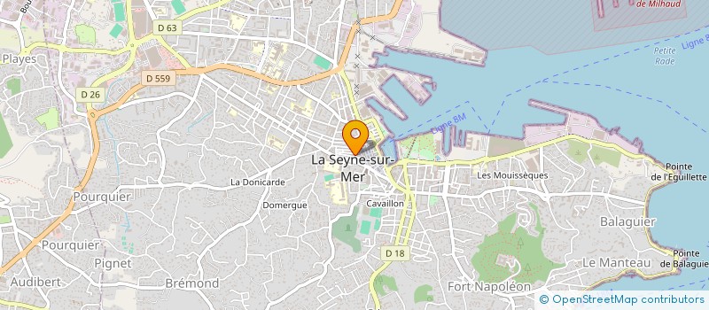 localisation de l'entreprise MONSIEUR CORENTIN BRAU  LA SEYNE-SUR-MER