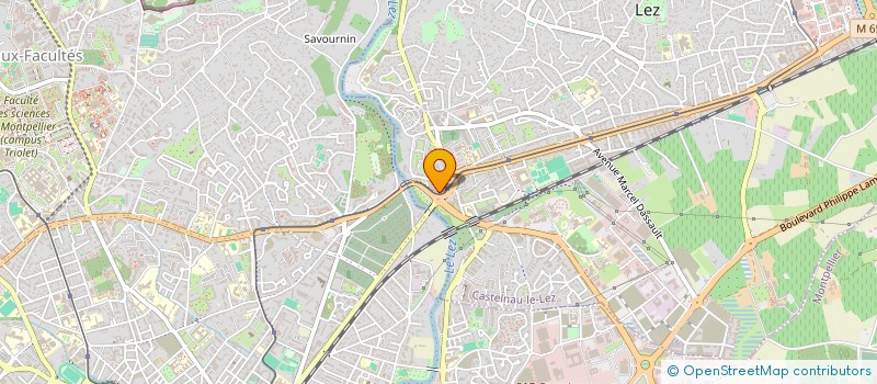 localisation de l'entreprise MONSIEUR CORENTIN PIC  CASTELNAU-LE-LEZ