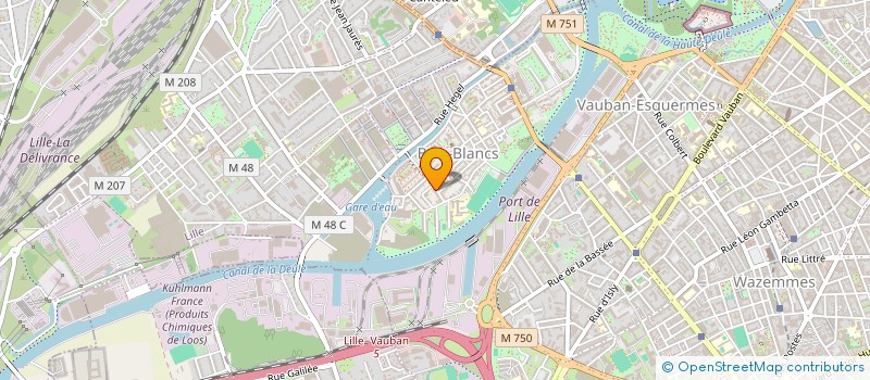 localisation de l'entreprise MONSIEUR CORENTIN VANGERMEE  LILLE