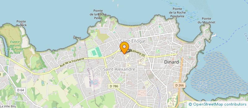 localisation de l'entreprise MONSIEUR CORENTIN YVERGNIAUX  DINARD