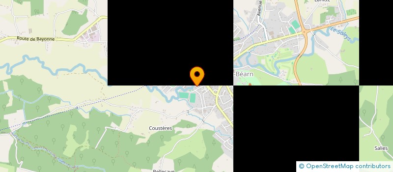 localisation de l'entreprise MONSIEUR CORNEL MOCANU  SALIES-DE-BEARN