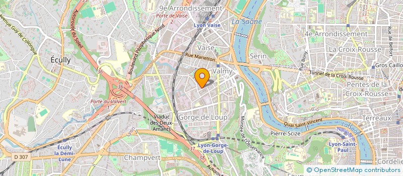 localisation de l'entreprise MONSIEUR CORNELIU-CERASELA BOGATU  LYON