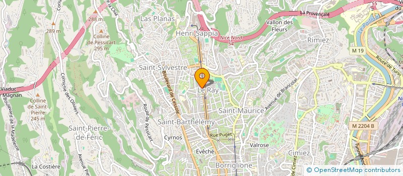 localisation de l'entreprise MONSIEUR CORNELIU SORIN SANDU à NICE