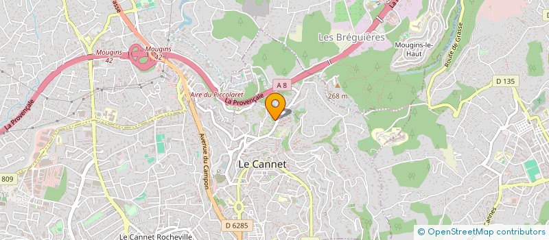 localisation de l'entreprise MONSIEUR COSTEL-GHEORGHE STAN à LE CANNET