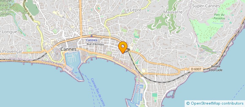 localisation de l'entreprise MONSIEUR COSTEL SARAN à CANNES