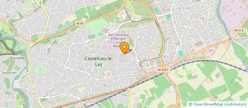 localisation de l'entreprise MONSIEUR COURTNEY LEITCH à CASTELNAU-LE-LEZ