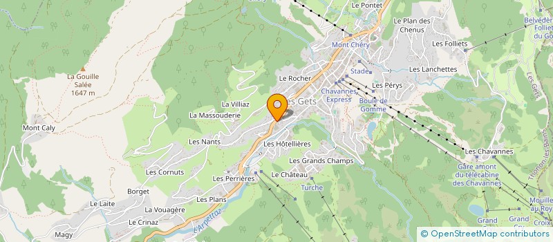 localisation de l'entreprise MONSIEUR CRAIG LLOYD  LES GETS