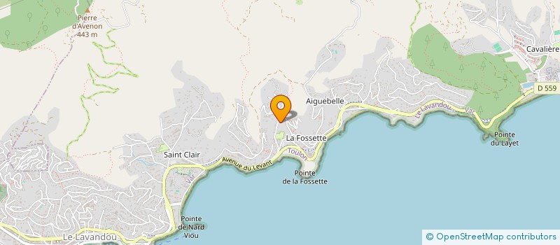 localisation de l'entreprise MONSIEUR CRAIG MERUNKA à LE LAVANDOU