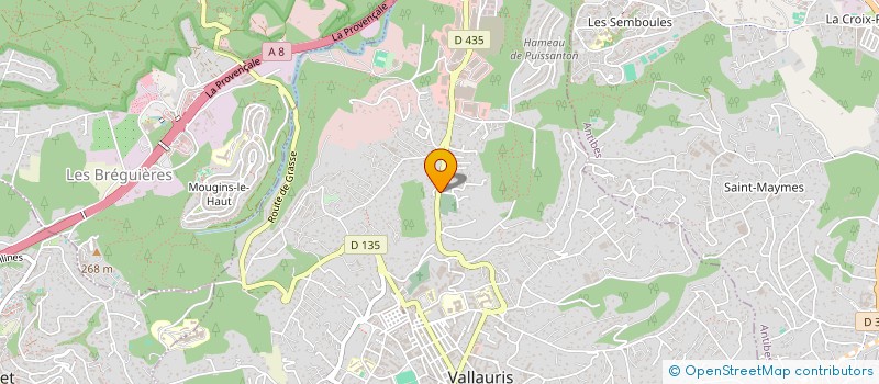 localisation de l'entreprise MONSIEUR CRISTIAN DARIE  VALLAURIS