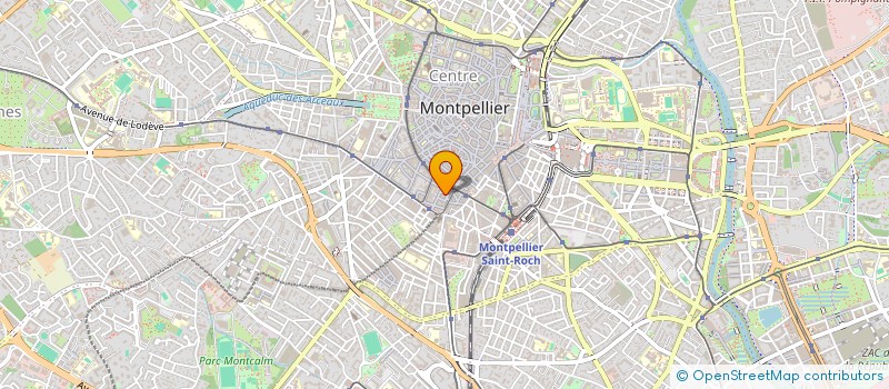 localisation de l'entreprise MONSIEUR CRISTIAN MANDACHE à MONTPELLIER