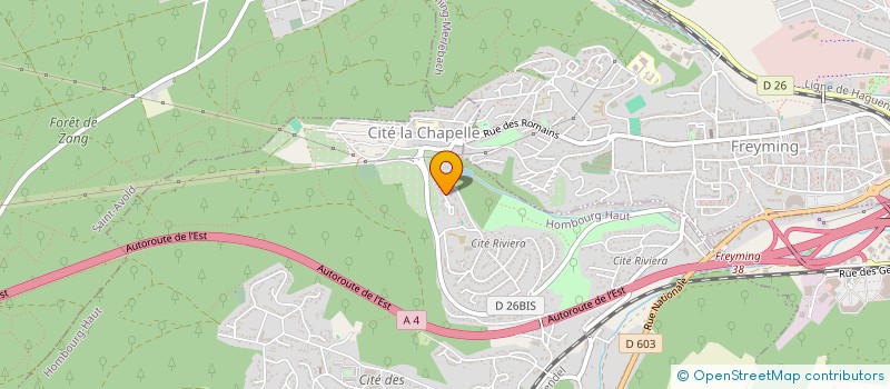 localisation de l'entreprise MONSIEUR CRISTINEL DANUT DUSCAT  HOMBOURG-HAUT