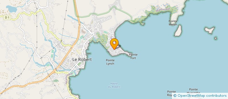localisation de l'entreprise MONSIEUR CYR MAZARIN à LE ROBERT