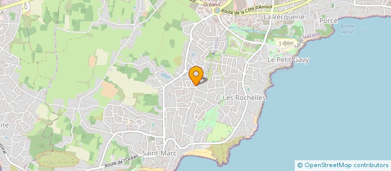 localisation de l'entreprise MONSIEUR CYRIAQUE LORI  SAINT-NAZAIRE