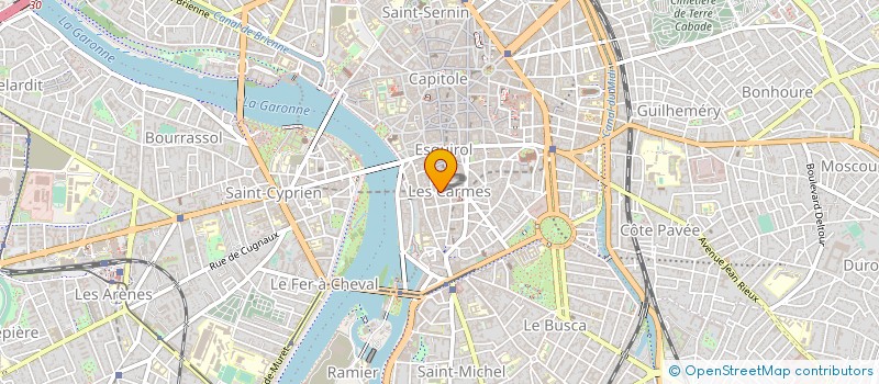 localisation de l'entreprise MONSIEUR CYRIL ALFARO à TOULOUSE