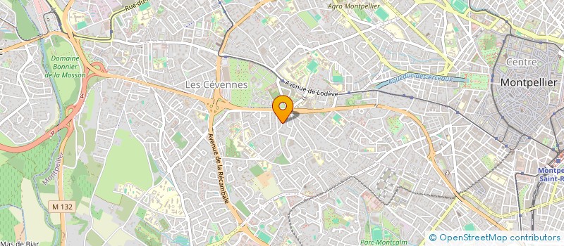 localisation de l'entreprise MONSIEUR CYRIL ARAGO à MONTPELLIER