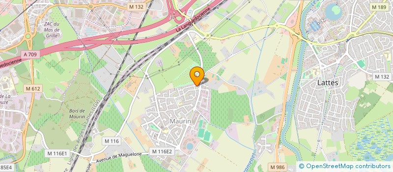 localisation de l'entreprise MONSIEUR CYRIL BAUMANN à LATTES