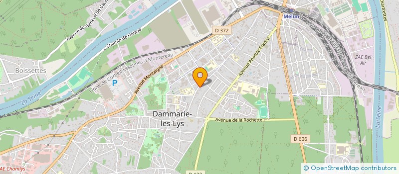 localisation de l'entreprise MONSIEUR CYRIL BRUGGEMAN à DAMMARIE-LES-LYS