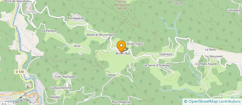 localisation de l'entreprise MONSIEUR CYRIL BRUTUS à VALS-LES-BAINS