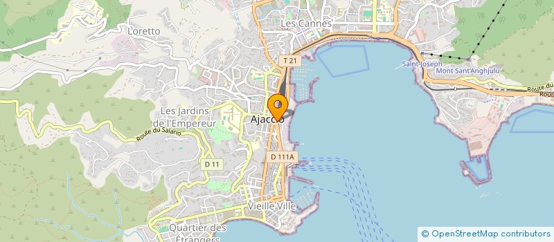 localisation de l'entreprise MONSIEUR CYRIL CEREYON  AJACCIO