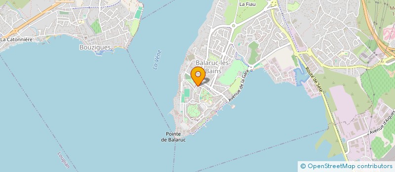 localisation de l'entreprise MONSIEUR CYRIL DEMAREZ  BALARUC-LES-BAINS