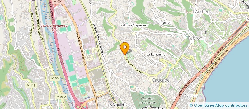 localisation de l'entreprise MONSIEUR CYRIL DURANT DE LA PASTELLIERE à NICE
