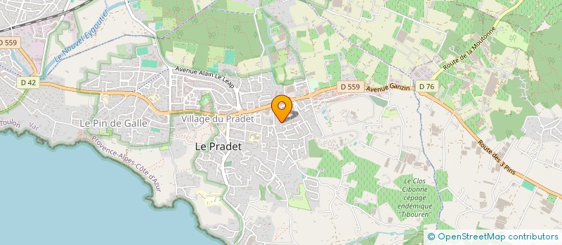 localisation de l'entreprise MONSIEUR CYRIL HENRY  LE PRADET